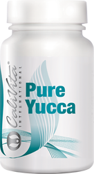 Pure Yucca