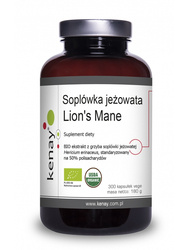 Soplówka jeżowata Lion's Mane (300 kapsułek vege) - suplement diety