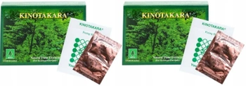 2x  KINOTAKARA PLASTRY K-LINK Naturalne Oczyszczanie
