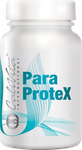 ParaProteX