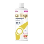 Cartilage Collagen Grapefruit 1000 ml płyn Noble Pharma 
